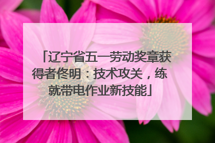 辽宁省五一劳动奖章获得者佟明：技术攻关，练就带电作业新技能