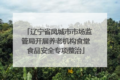 辽宁省凤城市市场监管局开展养老机构食堂食品安全专项整治