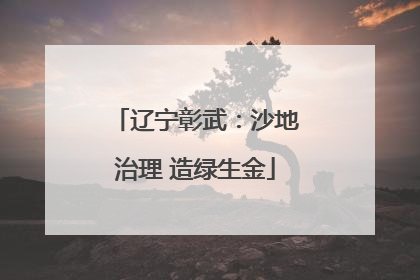 辽宁彰武：沙地治理 造绿生金