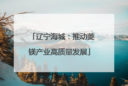 辽宁海城：推动菱镁产业高质量发展