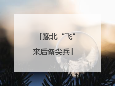豫北“飞”来后备尖兵