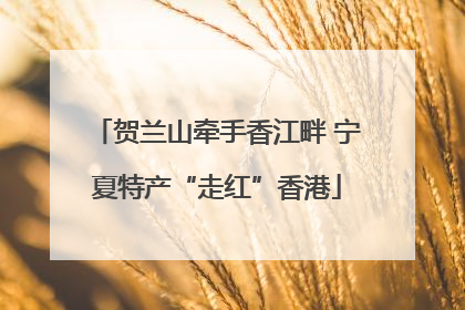 贺兰山牵手香江畔 宁夏特产“走红”香港