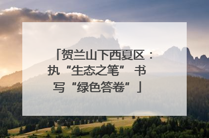 贺兰山下西夏区：执“生态之笔” 书写“绿色答卷”