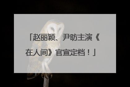 赵丽颖、尹昉主演《在人间》官宣定档！