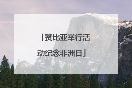 赞比亚举行活动纪念非洲日