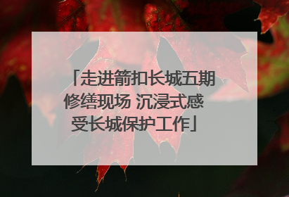 走进箭扣长城五期修缮现场 沉浸式感受长城保护工作