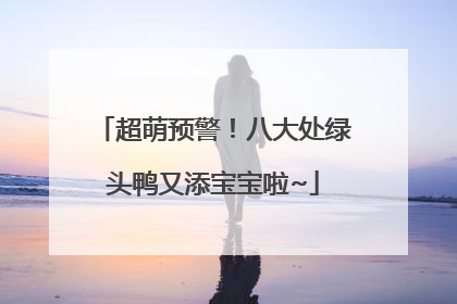 超萌预警！八大处绿头鸭又添宝宝啦~