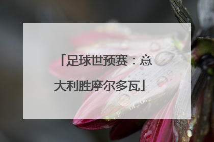足球世预赛：意大利胜摩尔多瓦