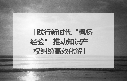 践行新时代“枫桥经验” 推动知识产权纠纷高效化解