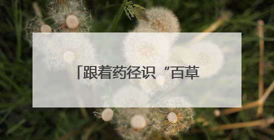 跟着药径识“百草”，宁波首条中医药研学步道发布