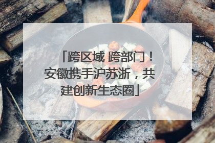 跨区域 跨部门！安徽携手沪苏浙，共建创新生态圈