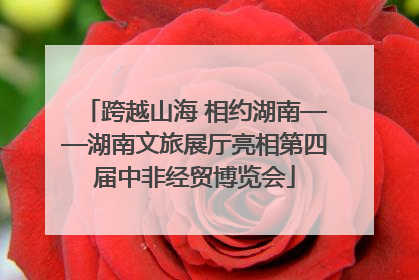 跨越山海 相约湖南——湖南文旅展厅亮相第四届中非经贸博览会