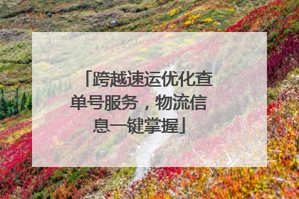 跨越速运优化查单号服务，物流信息一键掌握