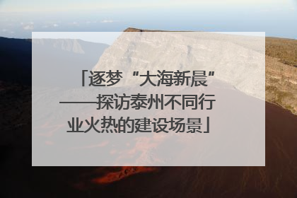 逐梦“大海新晨”——探访泰州不同行业火热的建设场景