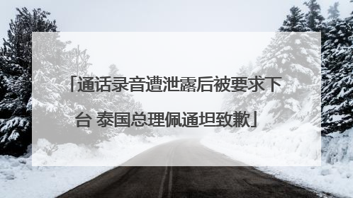 通话录音遭泄露后被要求下台 泰国总理佩通坦致歉