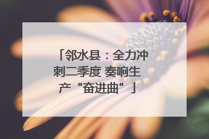 邻水县：全力冲刺二季度 奏响生产“奋进曲”