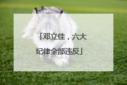 邓立佳，六大纪律全部违反
