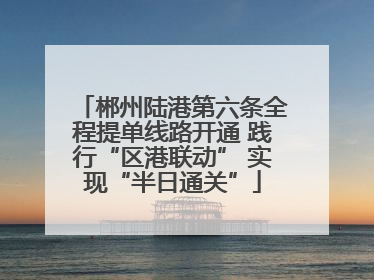 郴州陆港第六条全程提单线路开通 践行“区港联动” 实现“半日通关”