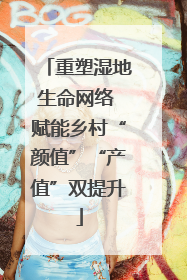 重塑湿地生命网络 赋能乡村“颜值”“产值”双提升