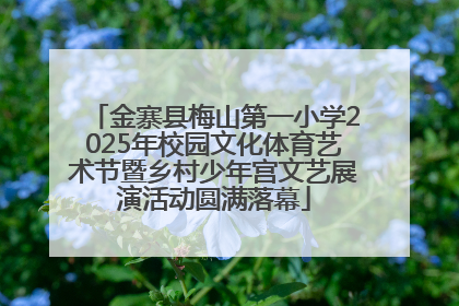 金寨县梅山第一小学2025年校园文化体育艺术节暨乡村少年宫文艺展演活动圆满落幕