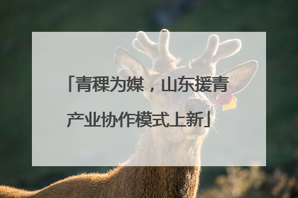青稞为媒，山东援青产业协作模式上新