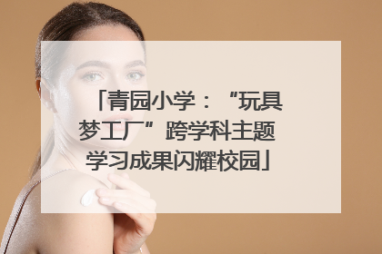 青园小学：“玩具梦工厂”跨学科主题学习成果闪耀校园