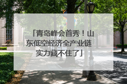 青岛峰会首秀！山东低空经济全产业链实力藏不住了
