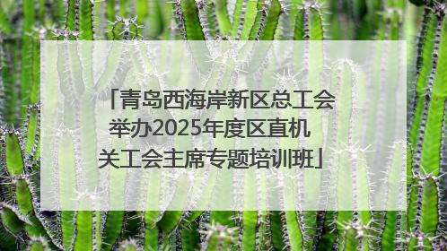 青岛西海岸新区总工会举办2025年度区直机关工会主席专题培训班