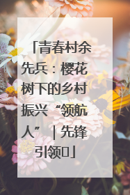 青春村余先兵：樱花树下的乡村振兴“领航人”｜先锋引领⑪