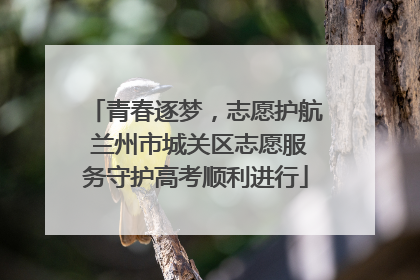 青春逐梦，志愿护航 兰州市城关区志愿服务守护高考顺利进行