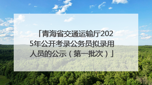 青海省交通运输厅2025年公开考录公务员拟录用人员的公示（第一批次）