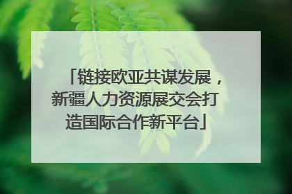 链接欧亚共谋发展，新疆人力资源展交会打造国际合作新平台