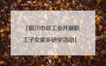 银川市总工会开展职工子女家乡研学活动
