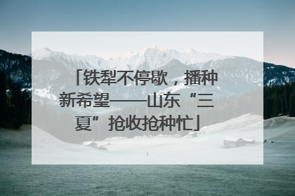 铁犁不停歇，播种新希望——山东“三夏”抢收抢种忙