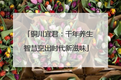 铜川宜君：千年养生智慧烹出时代新滋味