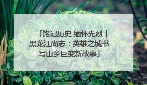 铭记历史 缅怀先烈丨黑龙江尚志：英雄之城书写山乡巨变新故事