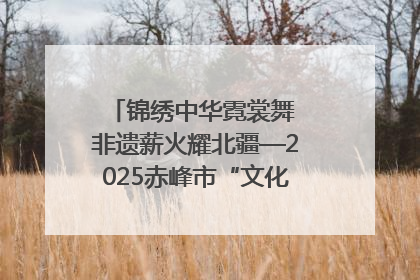 锦绣中华霓裳舞 非遗薪火耀北疆—2025赤峰市“文化和自然遗产日”非遗宣传展示活动纪实