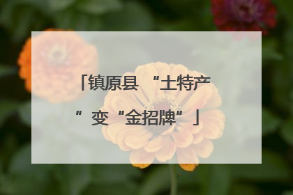 镇原县 “土特产”变“金招牌”