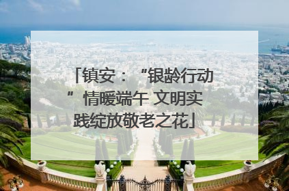 镇安：“银龄行动”情暖端午 文明实践绽放敬老之花