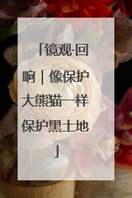 镜观·回响｜像保护大熊猫一样保护黑土地