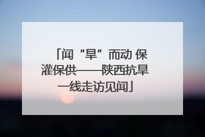 闻“旱”而动 保灌保供——陕西抗旱一线走访见闻