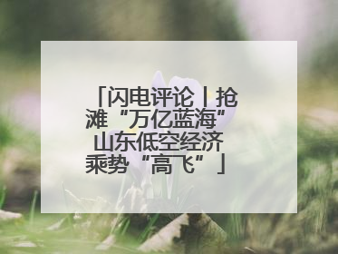 闪电评论丨抢滩“万亿蓝海” 山东低空经济乘势“高飞”