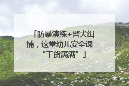 防暴演练+警犬缉捕，这堂幼儿安全课“干货满满”