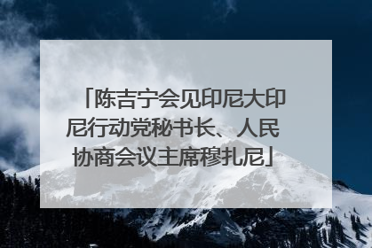 陈吉宁会见印尼大印尼行动党秘书长、人民协商会议主席穆扎尼