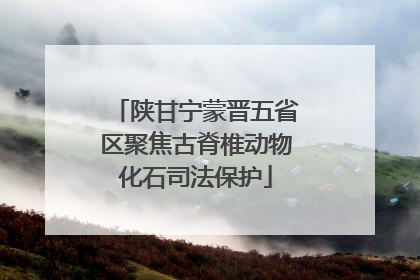 陕甘宁蒙晋五省区聚焦古脊椎动物化石司法保护