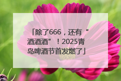 除了666，还有“酒酒酒”！2025青岛啤酒节首发燃了