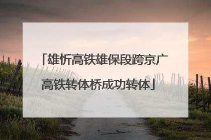 雄忻高铁雄保段跨京广高铁转体桥成功转体