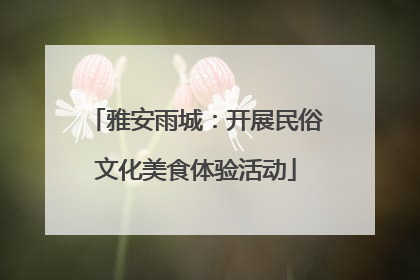 雅安雨城：开展民俗文化美食体验活动