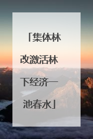 集体林改激活林下经济一池春水
