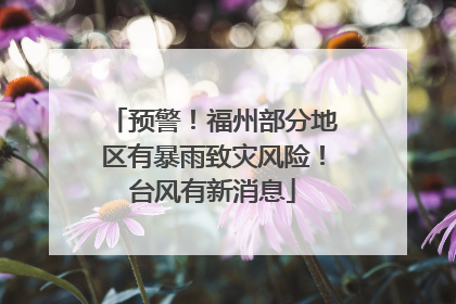 预警！福州部分地区有暴雨致灾风险！台风有新消息